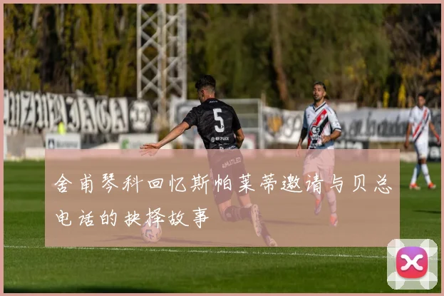 舍甫琴科回忆斯帕莱蒂邀请与贝总电话的抉择故事