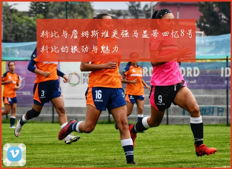 科比与詹姆斯谁更强马盖蒂回忆8号科比的狠劲与魅力