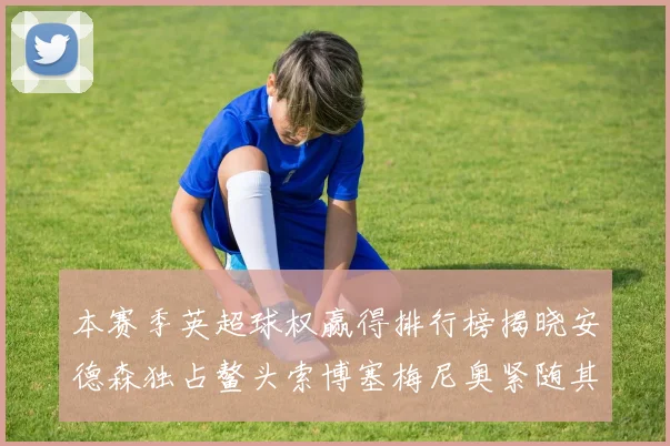 本赛季英超球权赢得排行榜揭晓安德森独占鳌头索博塞梅尼奥紧随其后