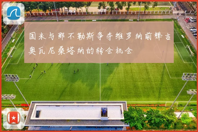 国米与那不勒斯争夺维罗纳前锋吉奥瓦尼桑塔纳的转会机会
