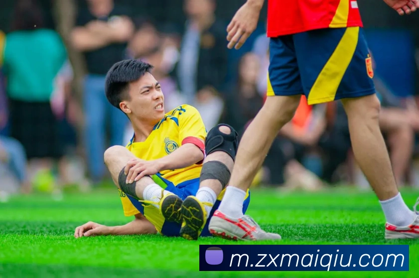 在线买球网站平台生态图