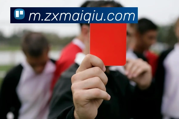 在线买球网站APP 封面图